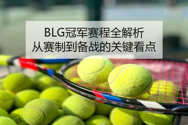 BLG冠军赛程全解析 从赛制到备战的关键看点