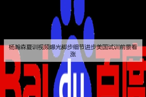杨瀚森夏训视频曝光脚步细节进步美国试训前景看涨