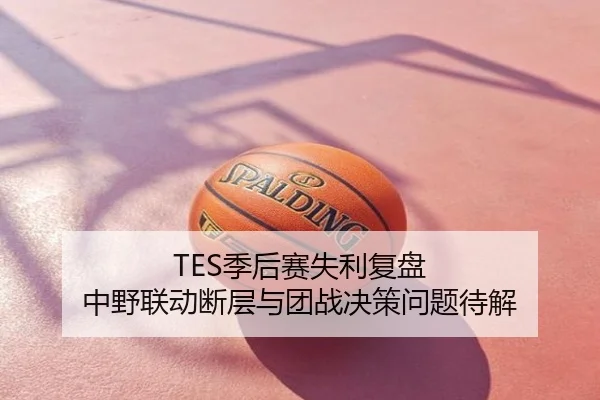 TES季后赛失利复盘 中野联动断层与团战决策问题待解
